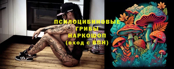 шишки Алексеевка