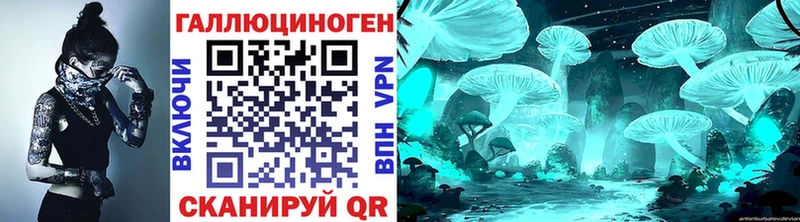 hydra ссылка  Суджа  darknet как зайти  Галлюциногенные грибы Cubensis 