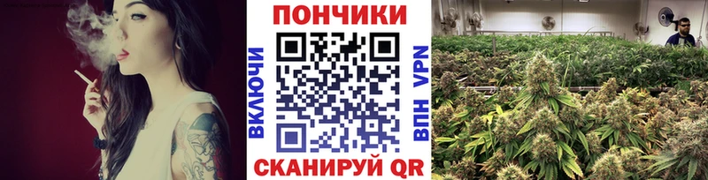 Бошки марихуана OG Kush  даркнет телеграм  Суджа 